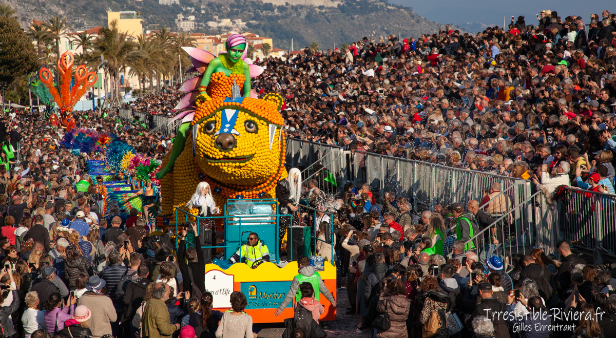 Fête du Citron